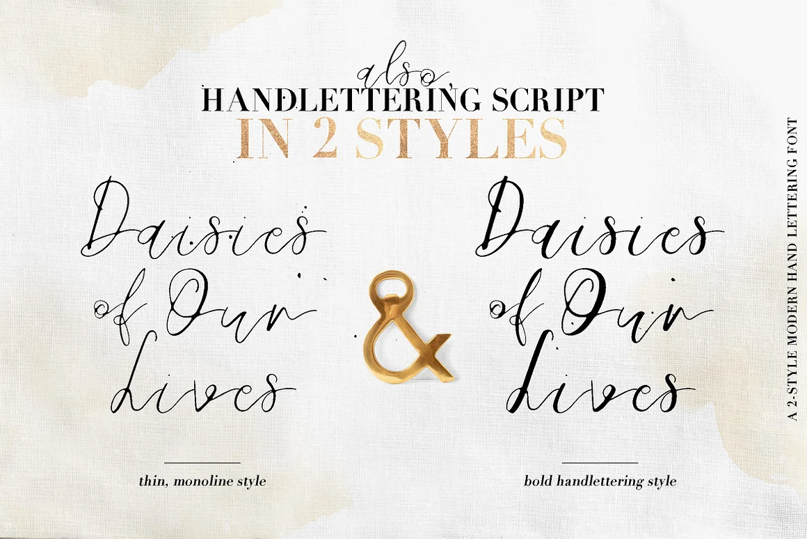 Daisies of Our Lives Font