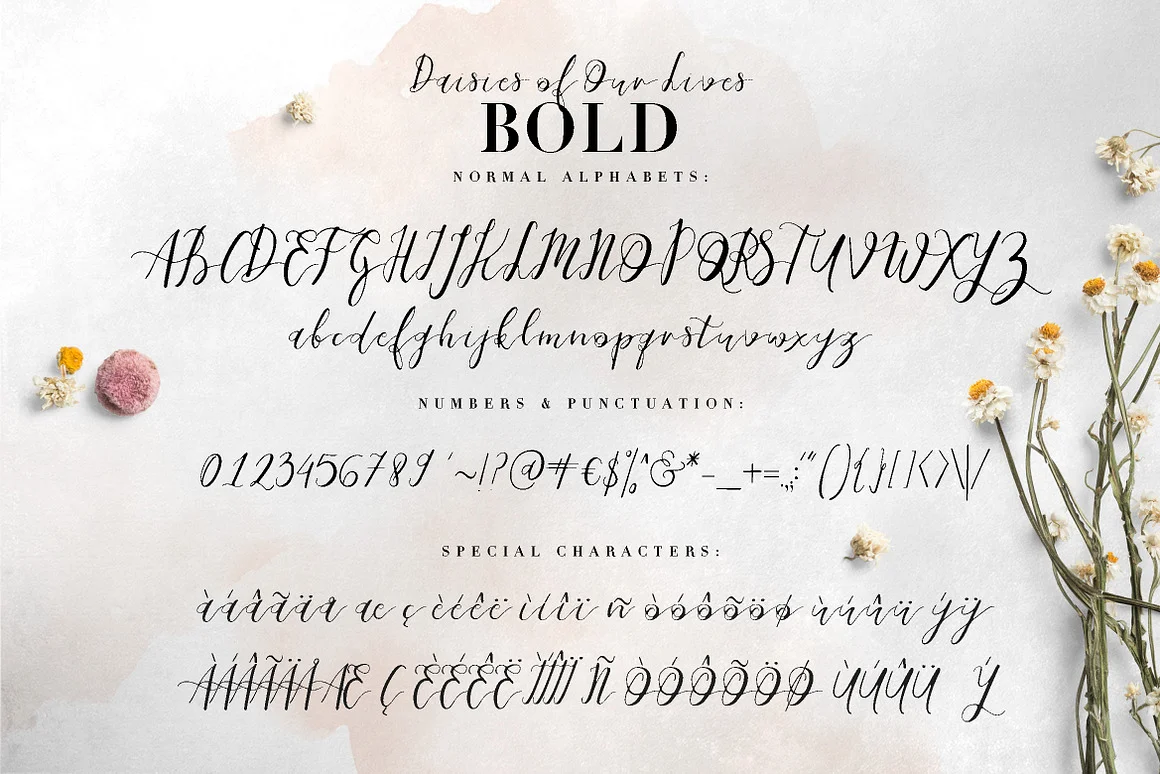 Daisies of Our Lives Font