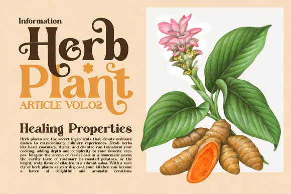 Dake Roile Elegant Serif Font