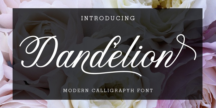 Dandelion Script Font Free Download