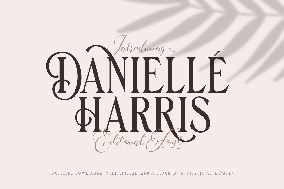 Danielle Harris - Editorial Font Free Download