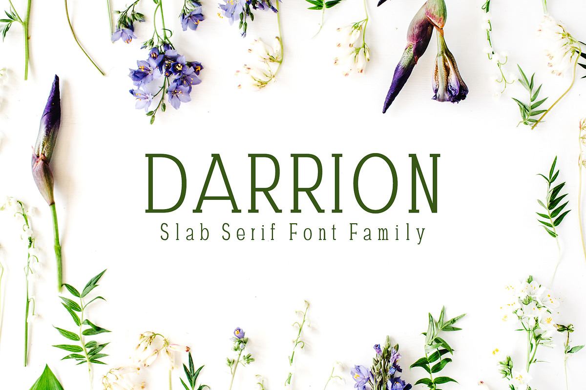 Darrion Slab Serif Font Family Free Download Free Download