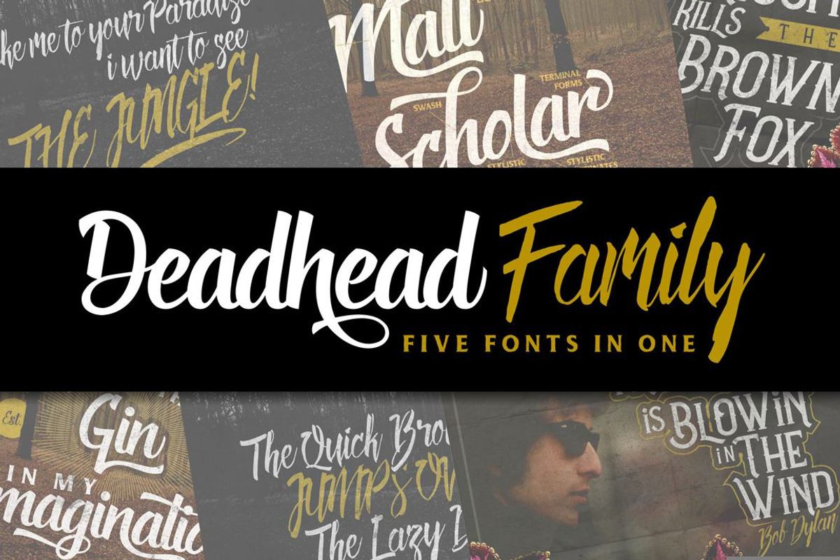 Deadhead Typeface Family Free Download Free Download