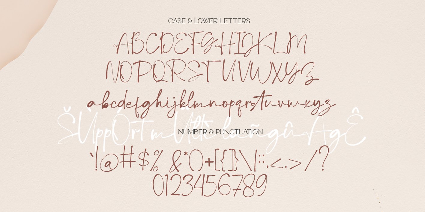 Debora Celina Script Font Free Download