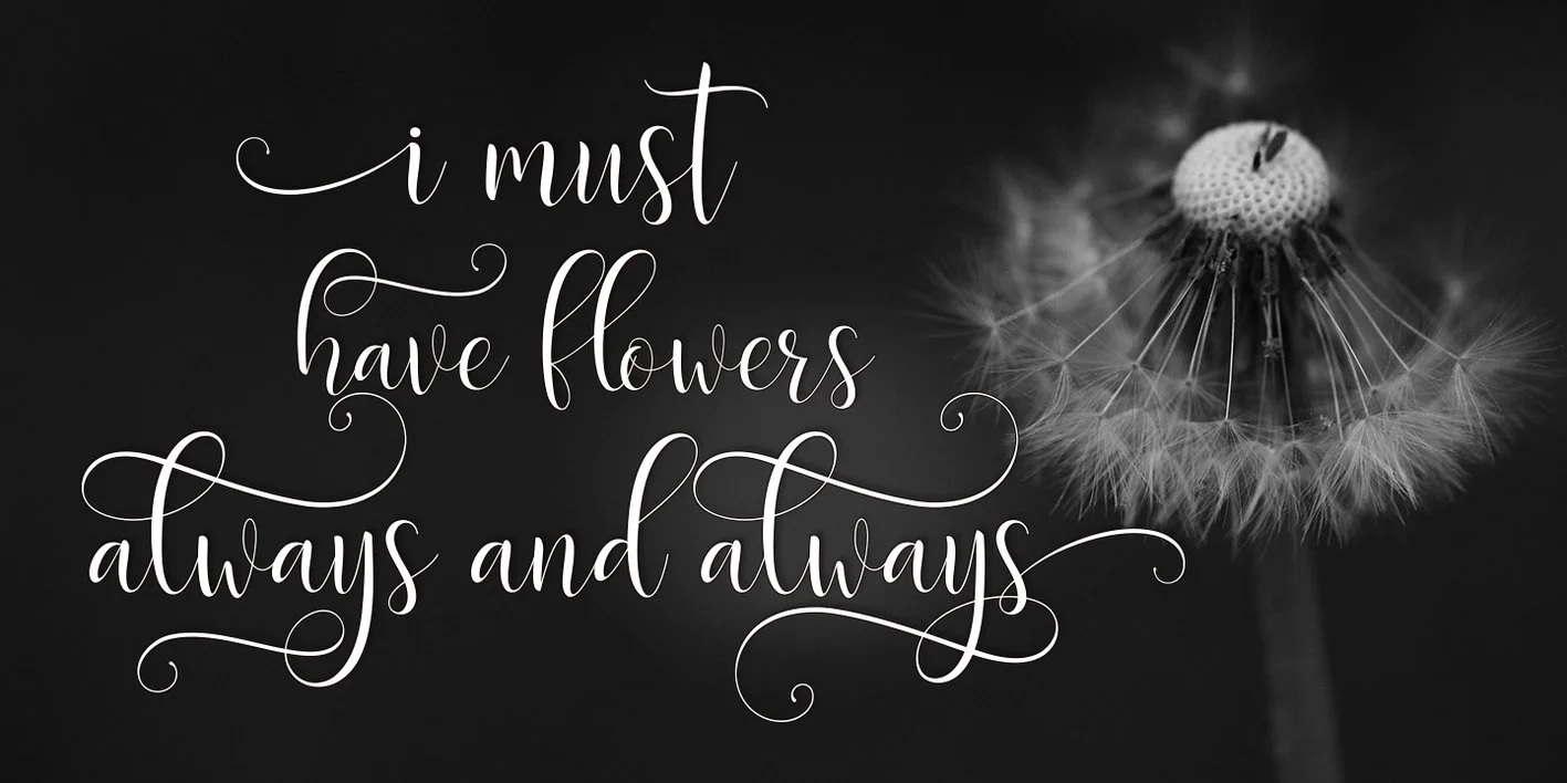 Delany Script Font