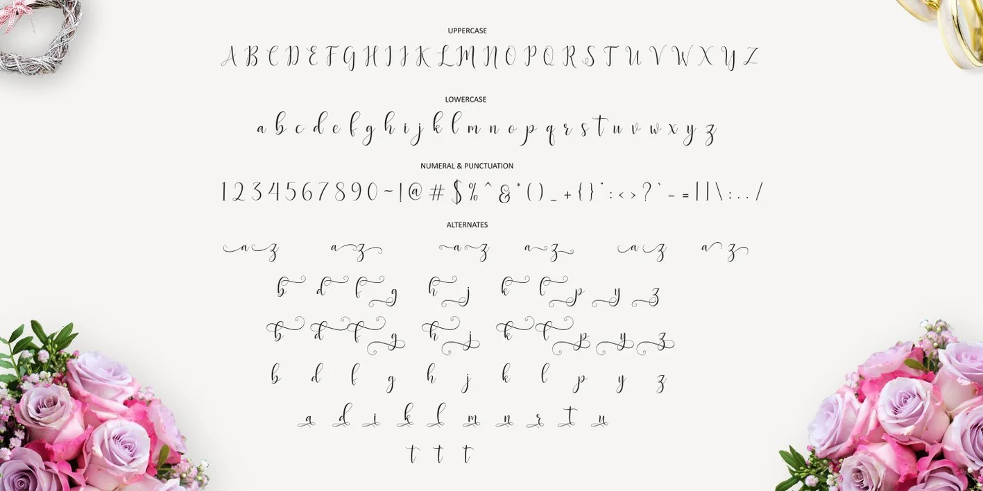 Delany Script Font