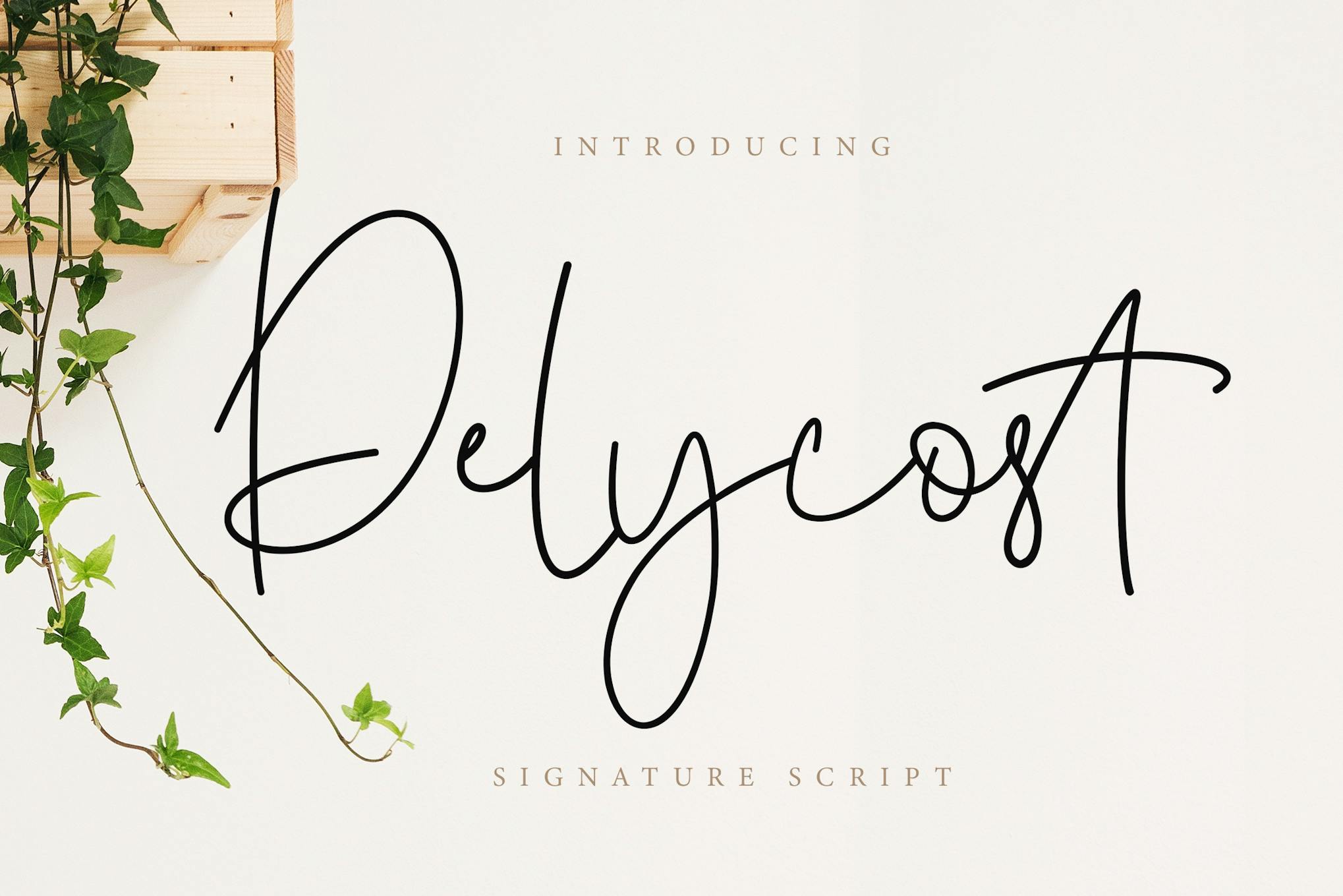 Delycost Signature Wedding Font Free Download