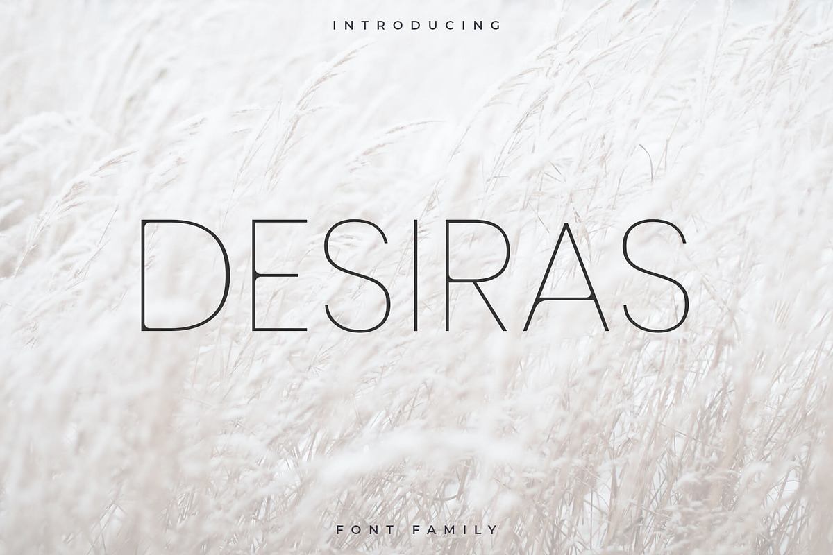 Desiras Font Family - Sans Serif Free Download Free Download