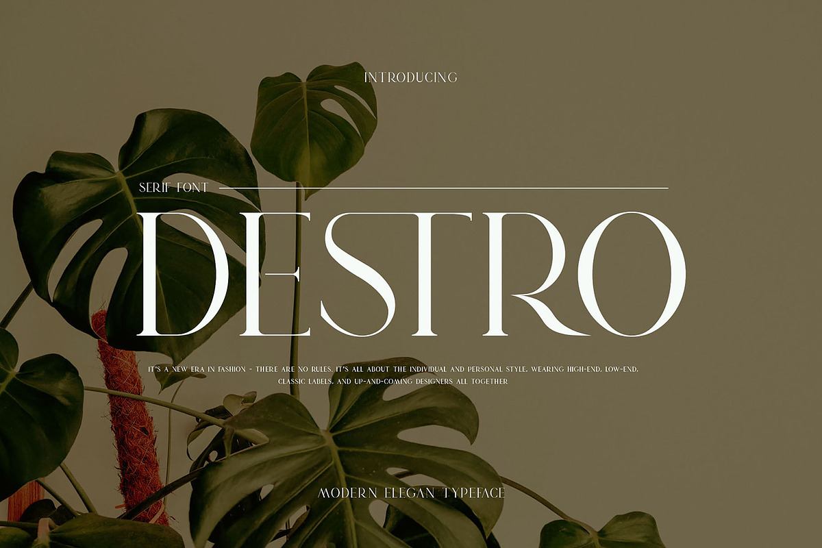 DESTRO Ligature Serif Font Free Download Free Download