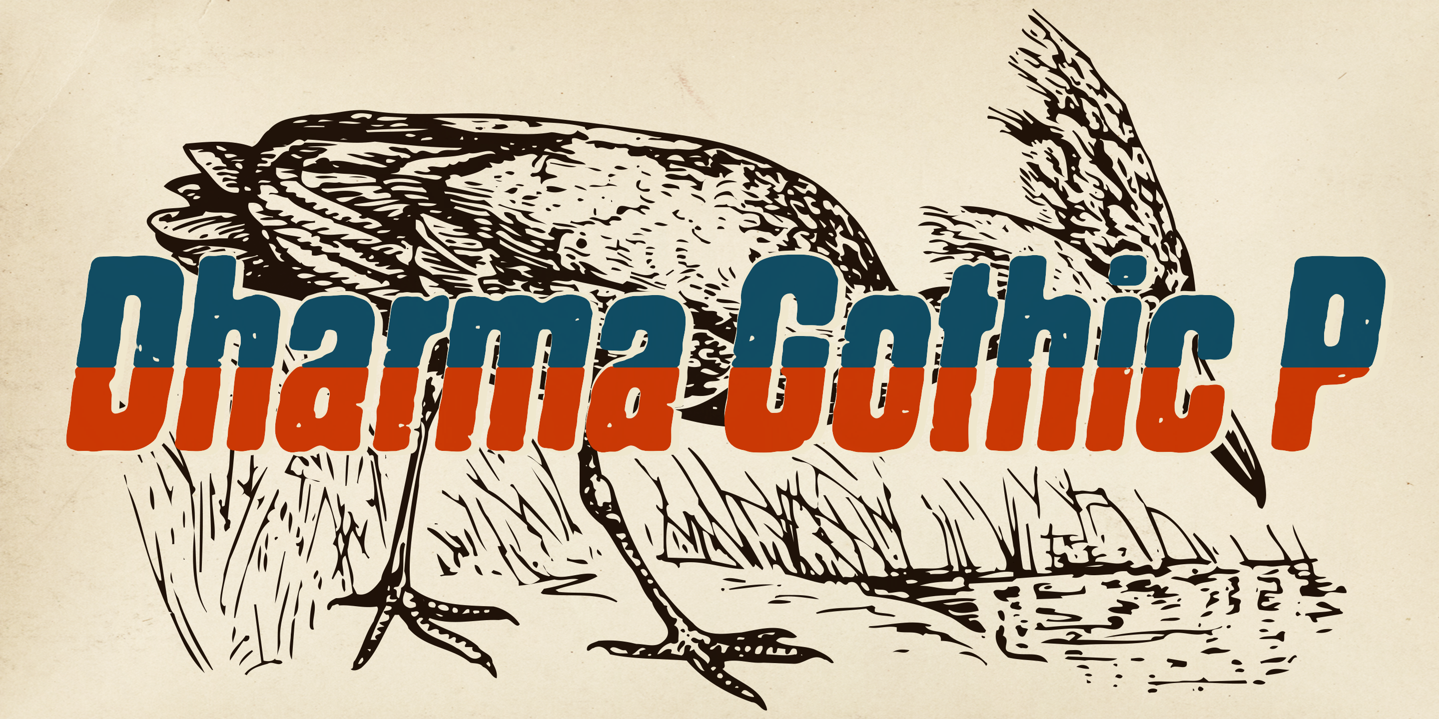 Dharma Gothic P Free Download Free Download