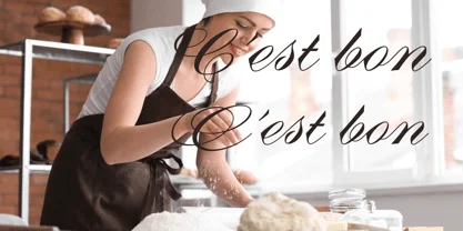 Diane Script Font