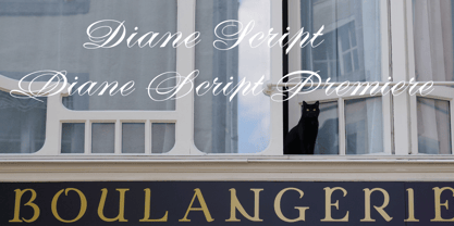 Diane Script Font Free Download