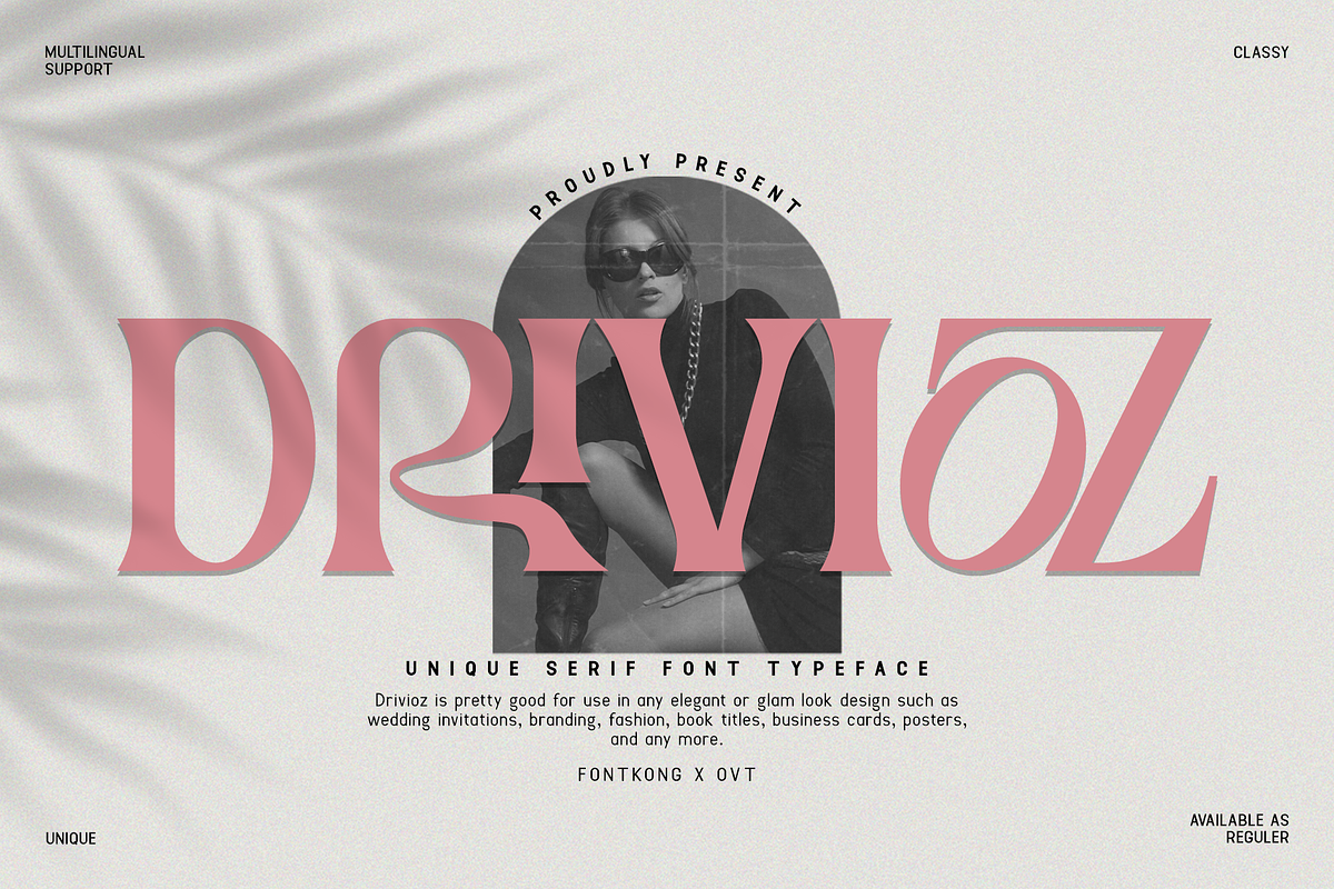 Drivioz - Unique Serif Typeface Font Free Download Free Download