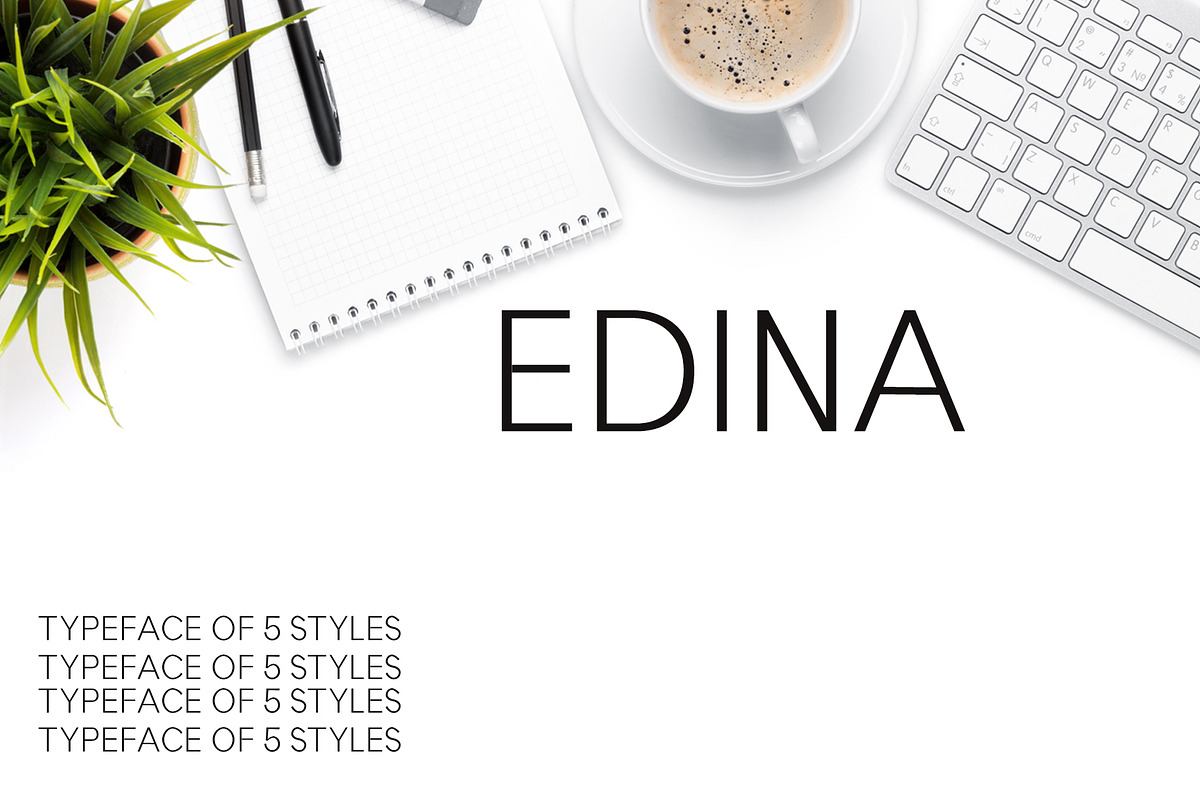 Edina Sans Serif Minimal Font Pack Free Download Free Download