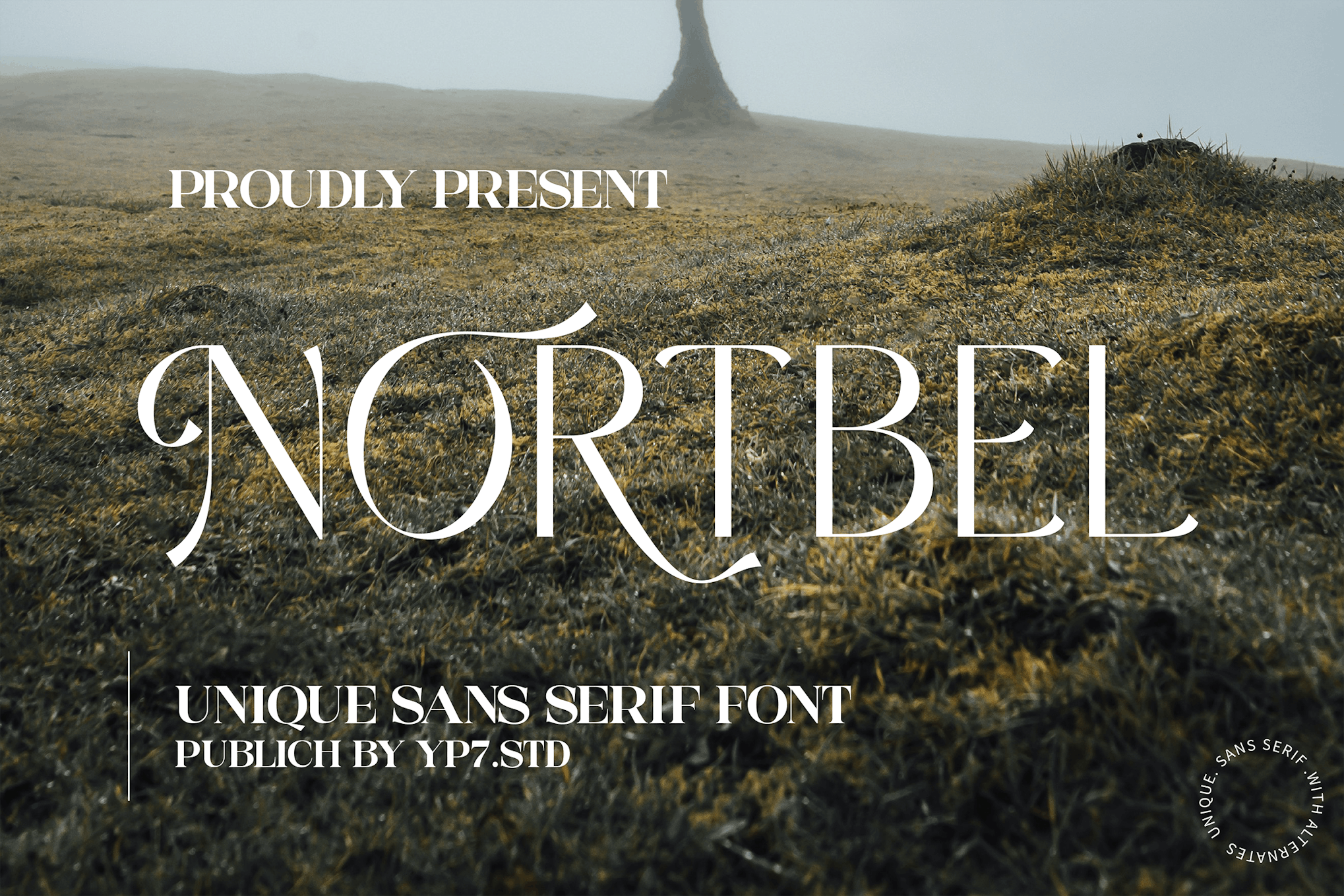 Elegant Sans Serif Font Free Download