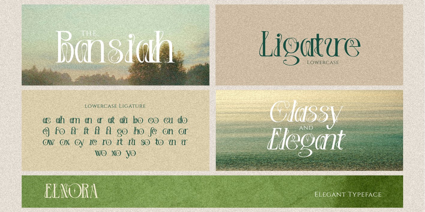 Elnora Font Free Download