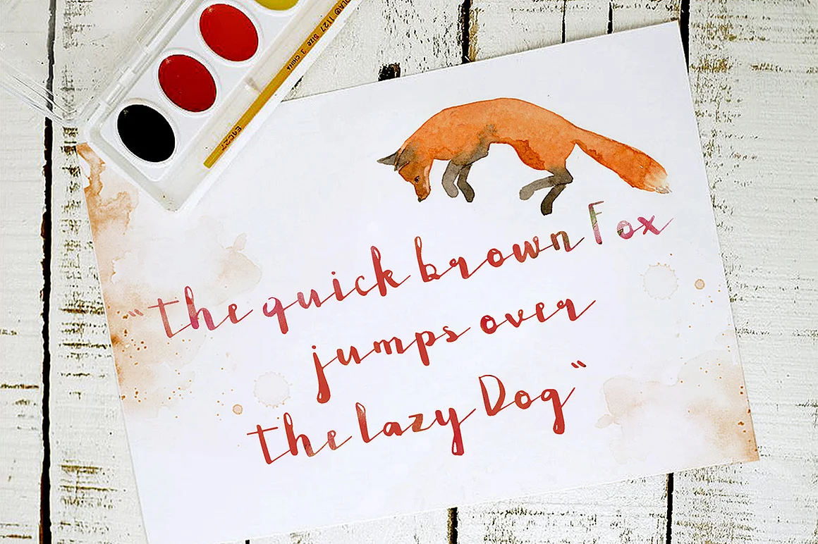 Emilia Baker Script Font