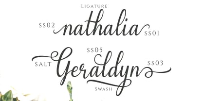 Emilyne Font Free Download