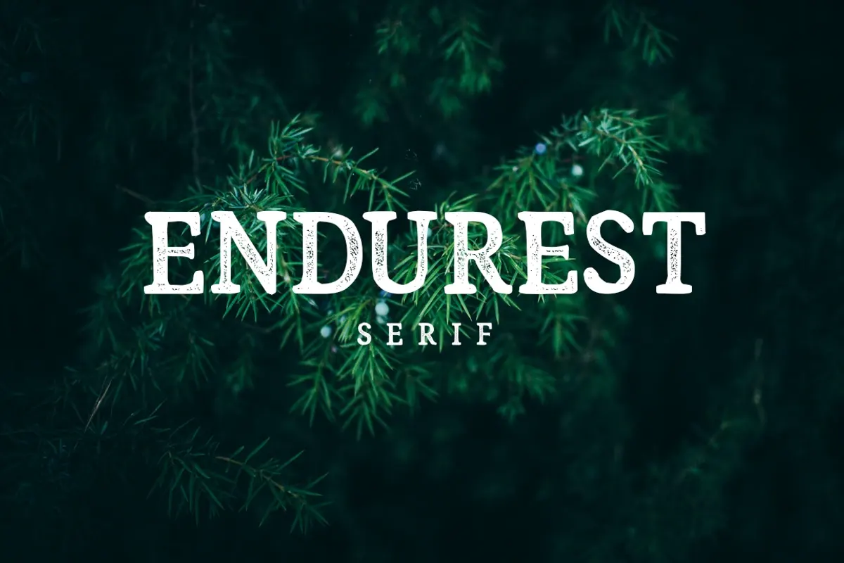 Endurest - Serif Free Download Free Download