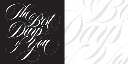 Erotica Font