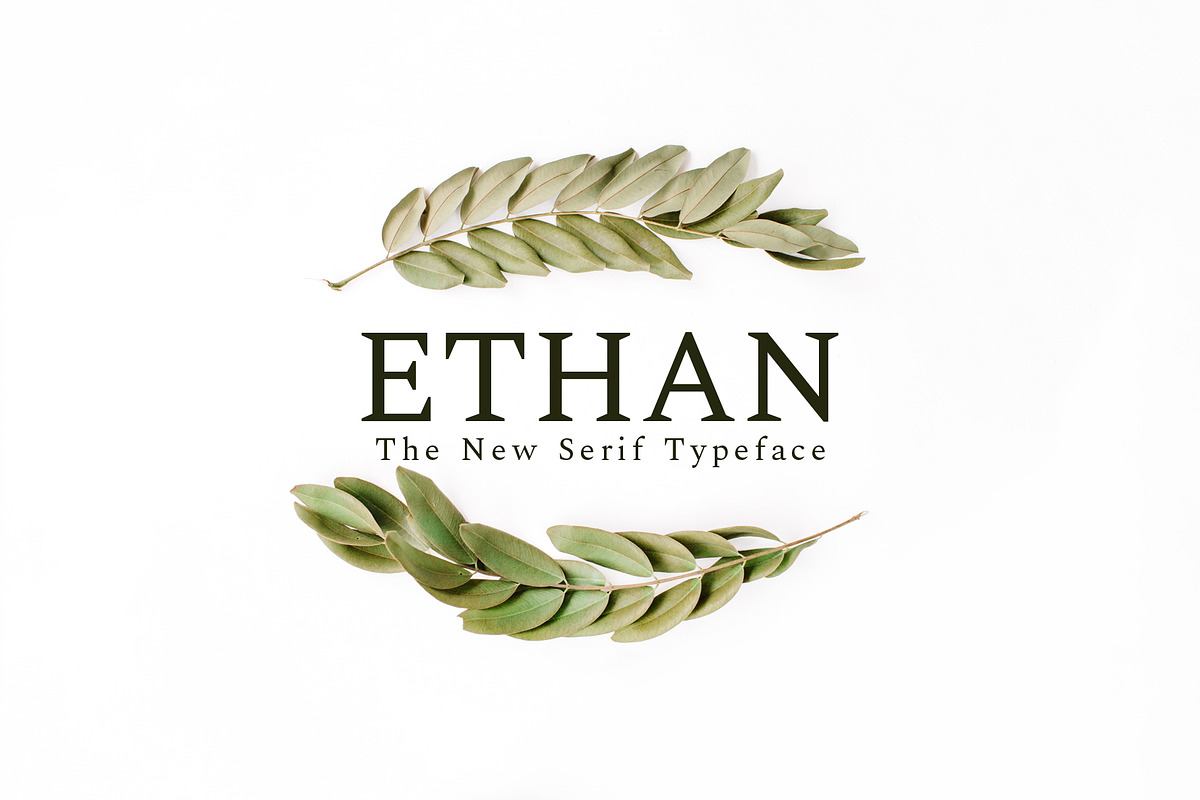 Ethan Serif 8 Font Family Pack Free Download Free Download