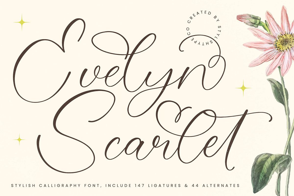 Evelyn Scarlet Stylish Calligraphy Free Download Free Download