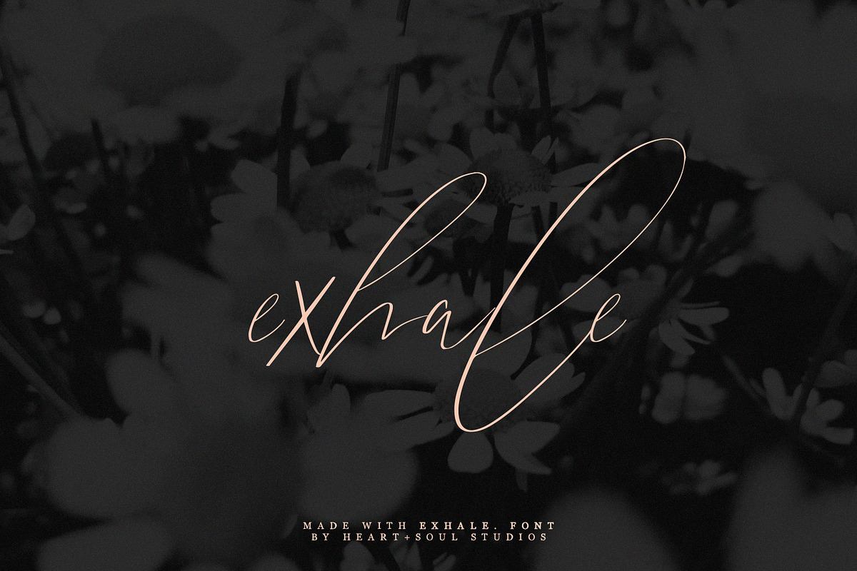 exhale. | calligraphy script font Free Download Free Download