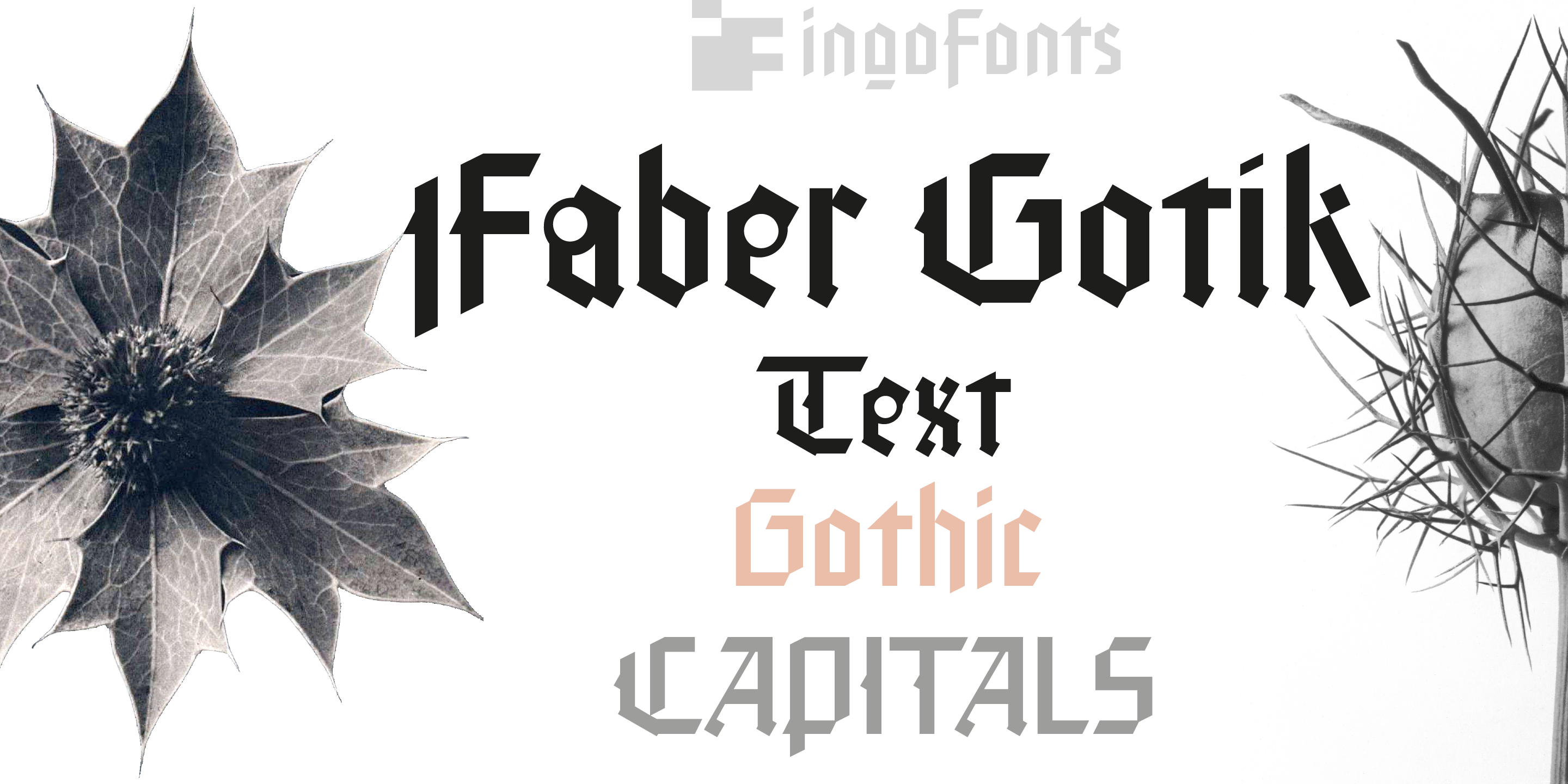 Faber Gotic Free Download Free Download