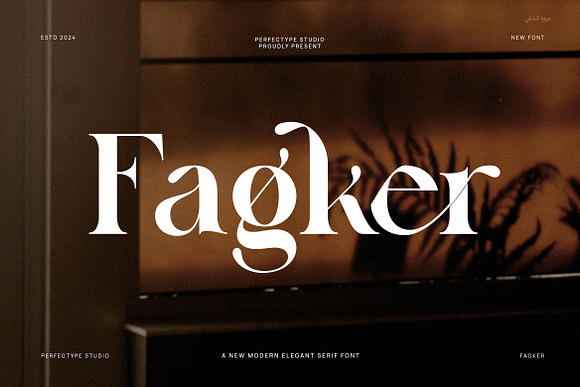 Fagker Elegant Serif Font Free Download