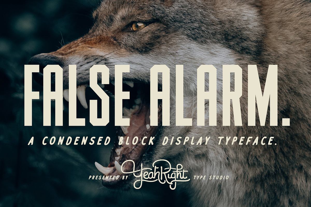 False Alarm Typeface Free Download Free Download