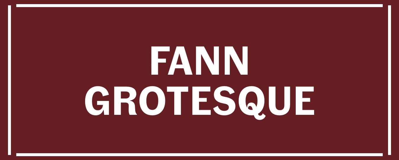 Fann Grotesque Font Free Download