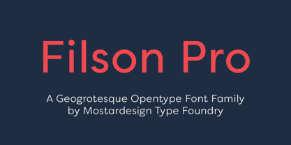 Filson Pro Font Free Download