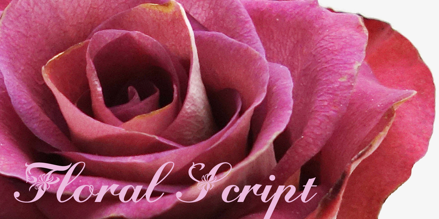 Floralscript Free Download Free Download