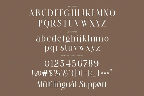 Fragile Modern Ligature Serif Font
