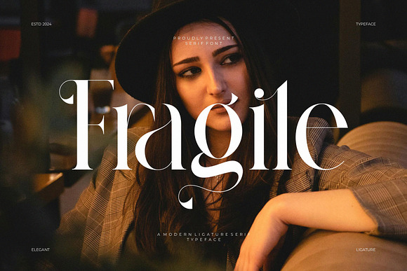 Fragile Modern Ligature Serif Font Free Download