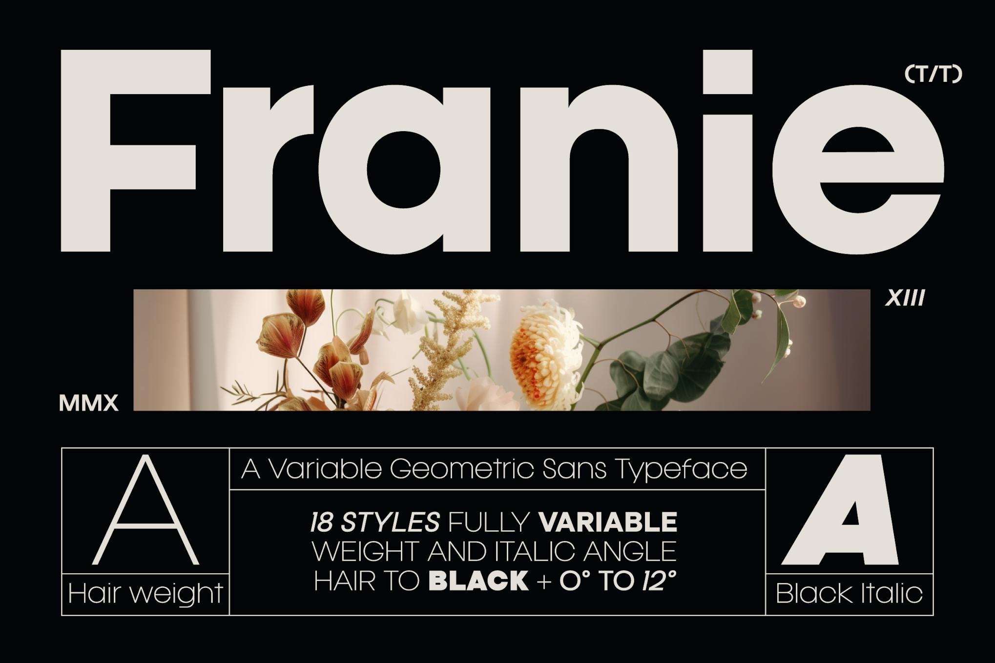 Franie Geometric Sans Font Free Download