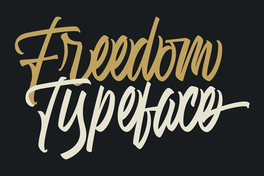 Freedom Typeface Font Free Download