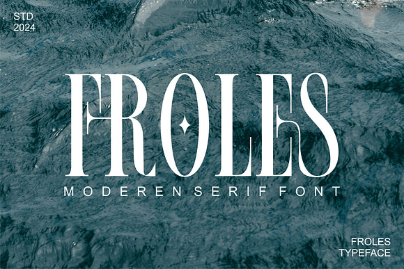 FROLES Modern Serif Font Free Download