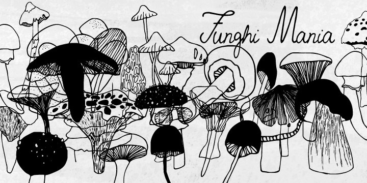 Funghi Mania Free Download Free Download