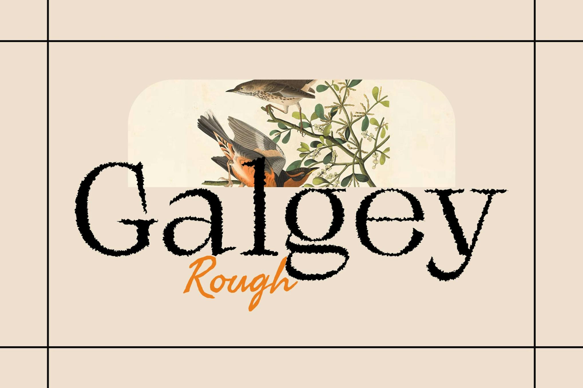 Galgey Rough Font Free Download