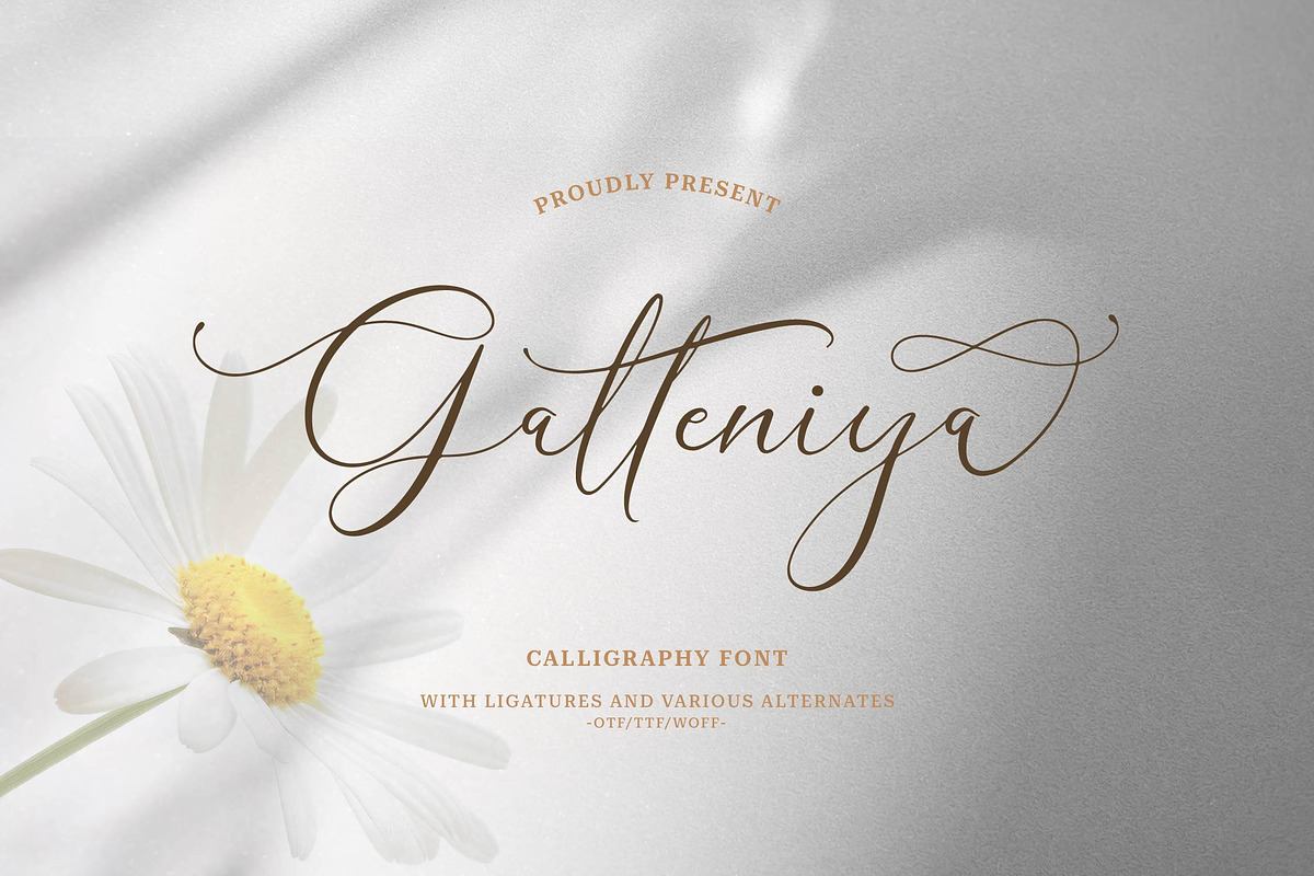 Galteniya | Beautiful Script Free Download Free Download