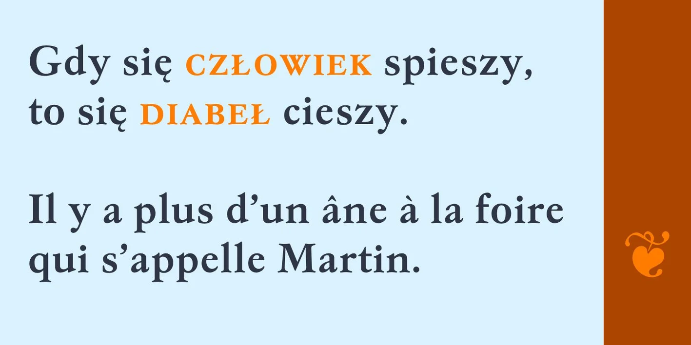 Garamond Antiqua Pro Font