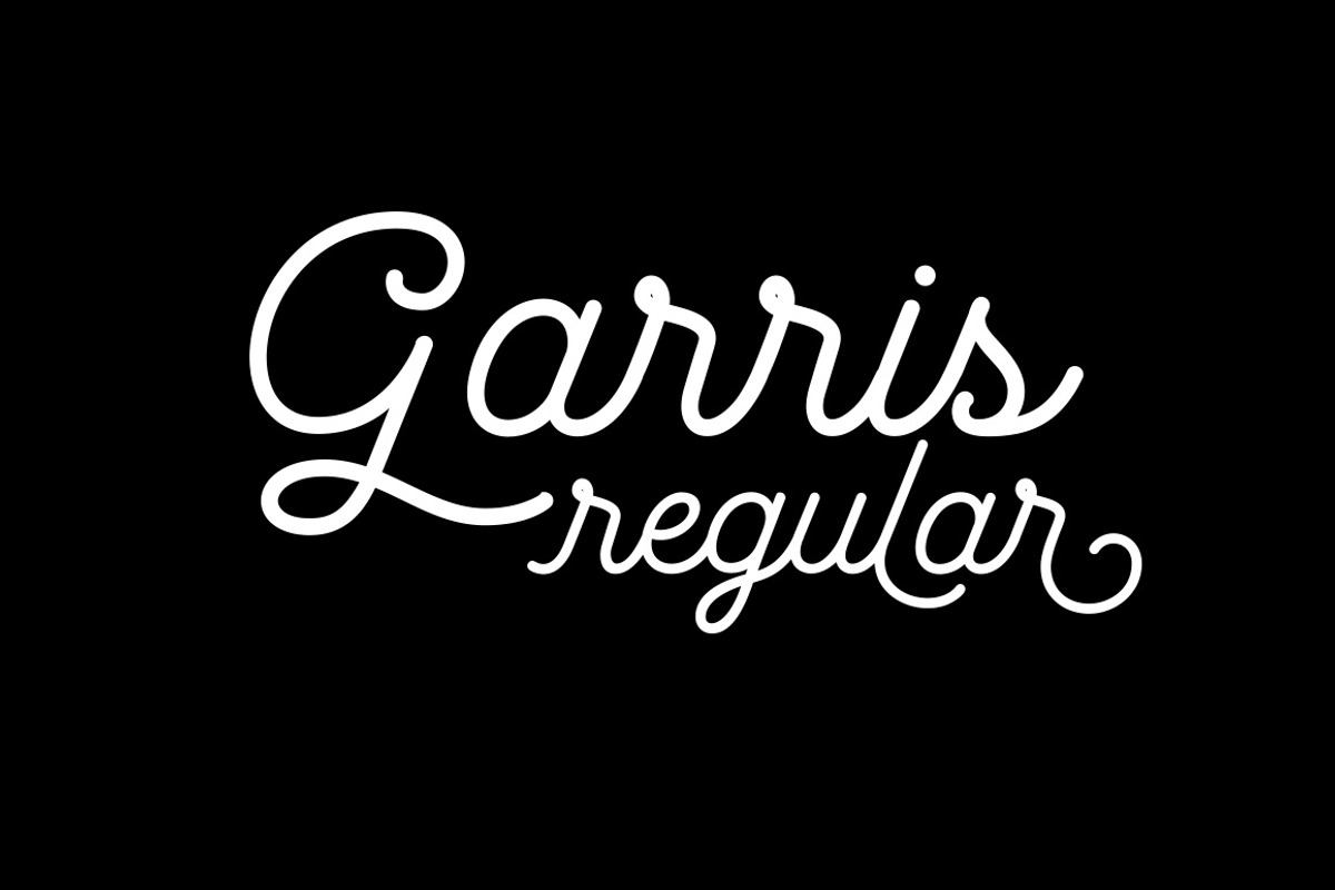 Garris Regular Free Download Free Download