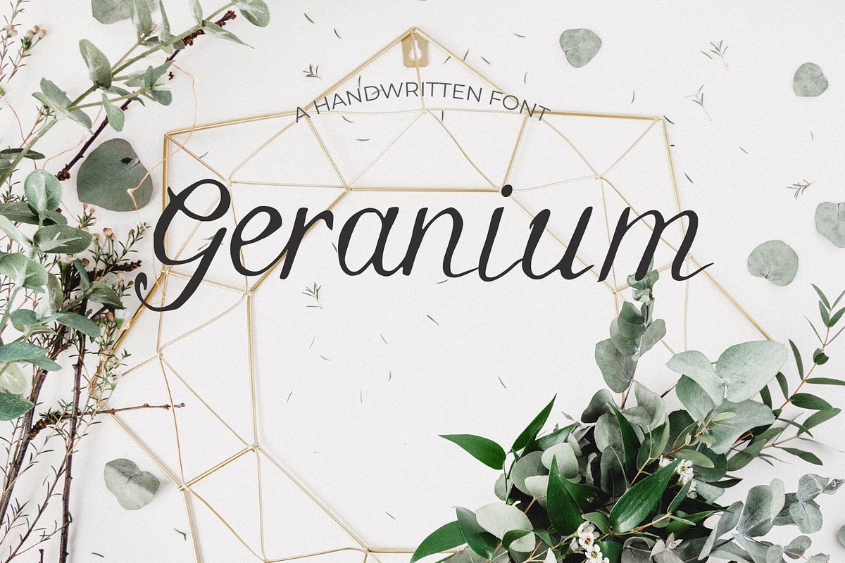 Geranium Font Free Download Free Download