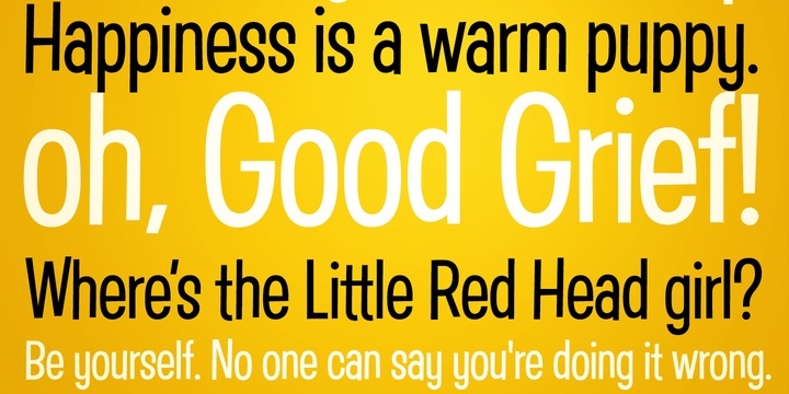 Good Grief PB Font Free Download