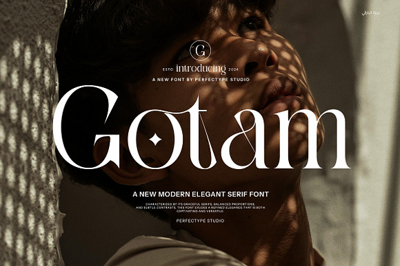 Gotam Elegant Serif Font Free Download