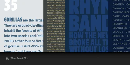 Gotham Font