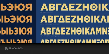 Gotham Font