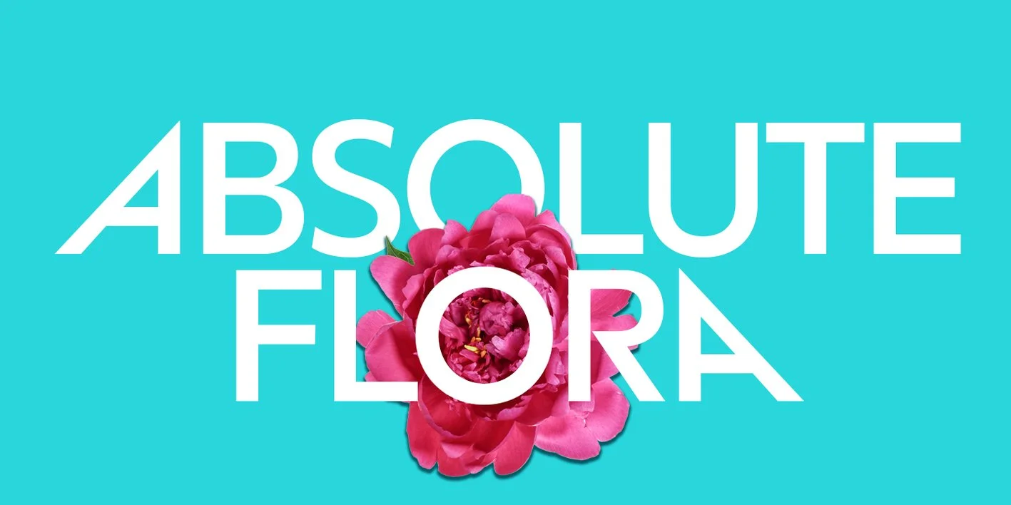 Grava Font