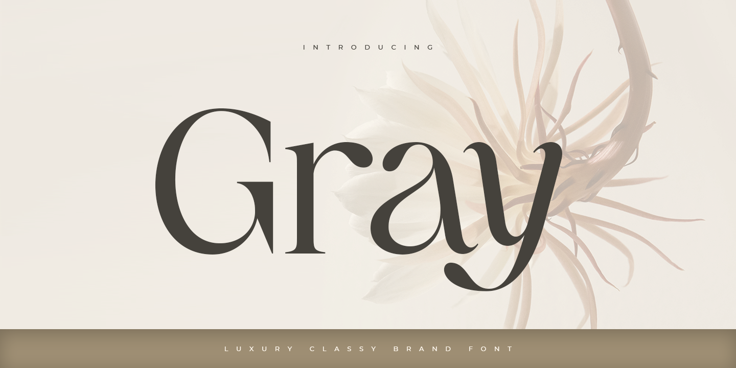 Gray Free Download Free Download